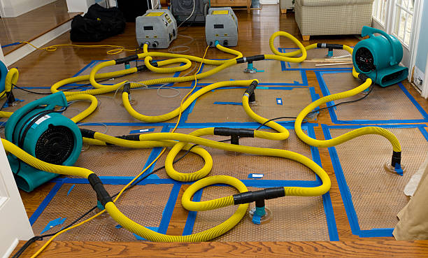 Professional Crawl Space Water Removal technician working in Fairview, NC